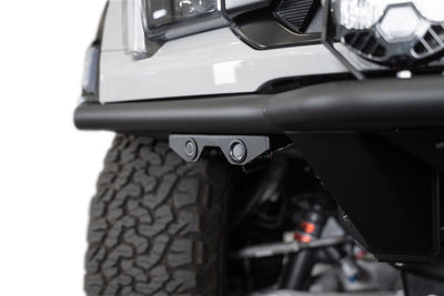 Photo - Close Up