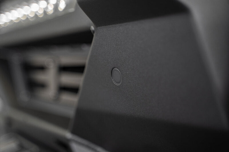 Photo - Close Up