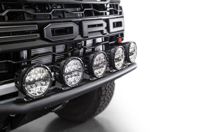 Photo - Close Up