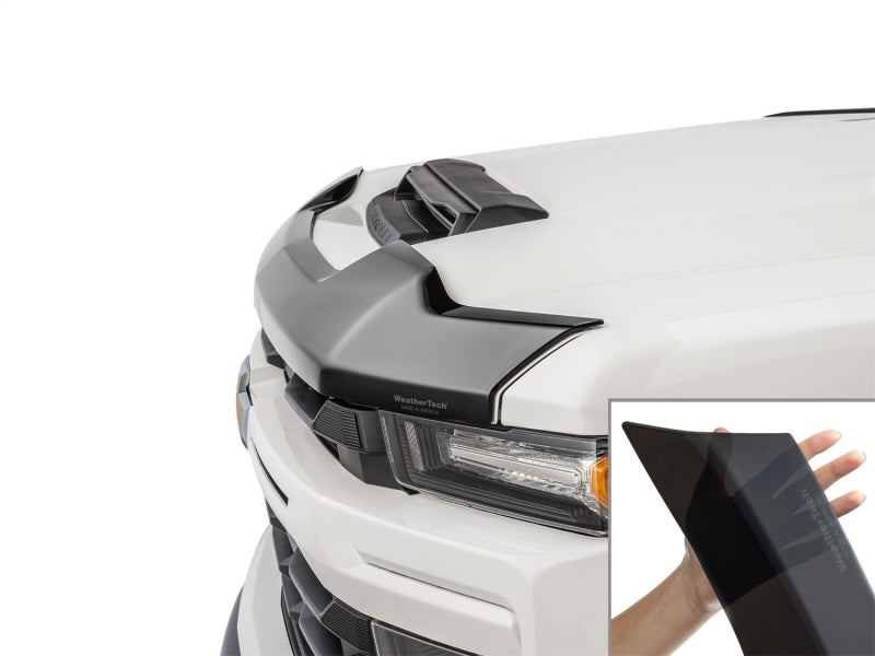 Stone/Bug Deflectors