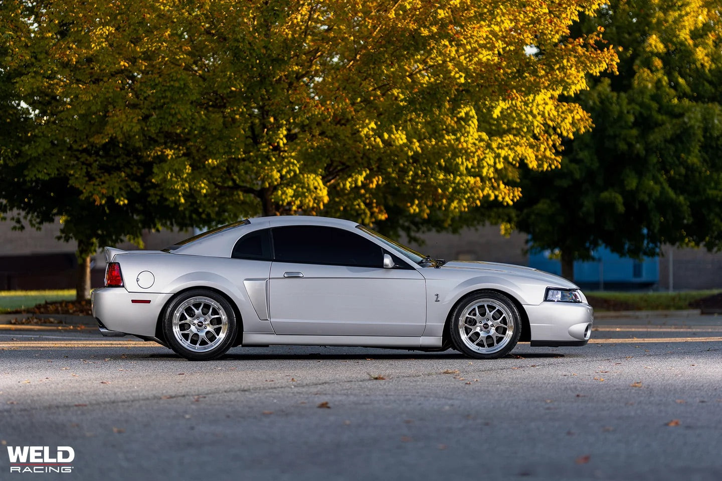 Weld Racing Solana - S110 Gloss Machined