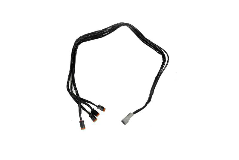 Wiring Harnesses