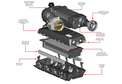 Whipple 2.9L Supercharger - 04-06 GM Truck