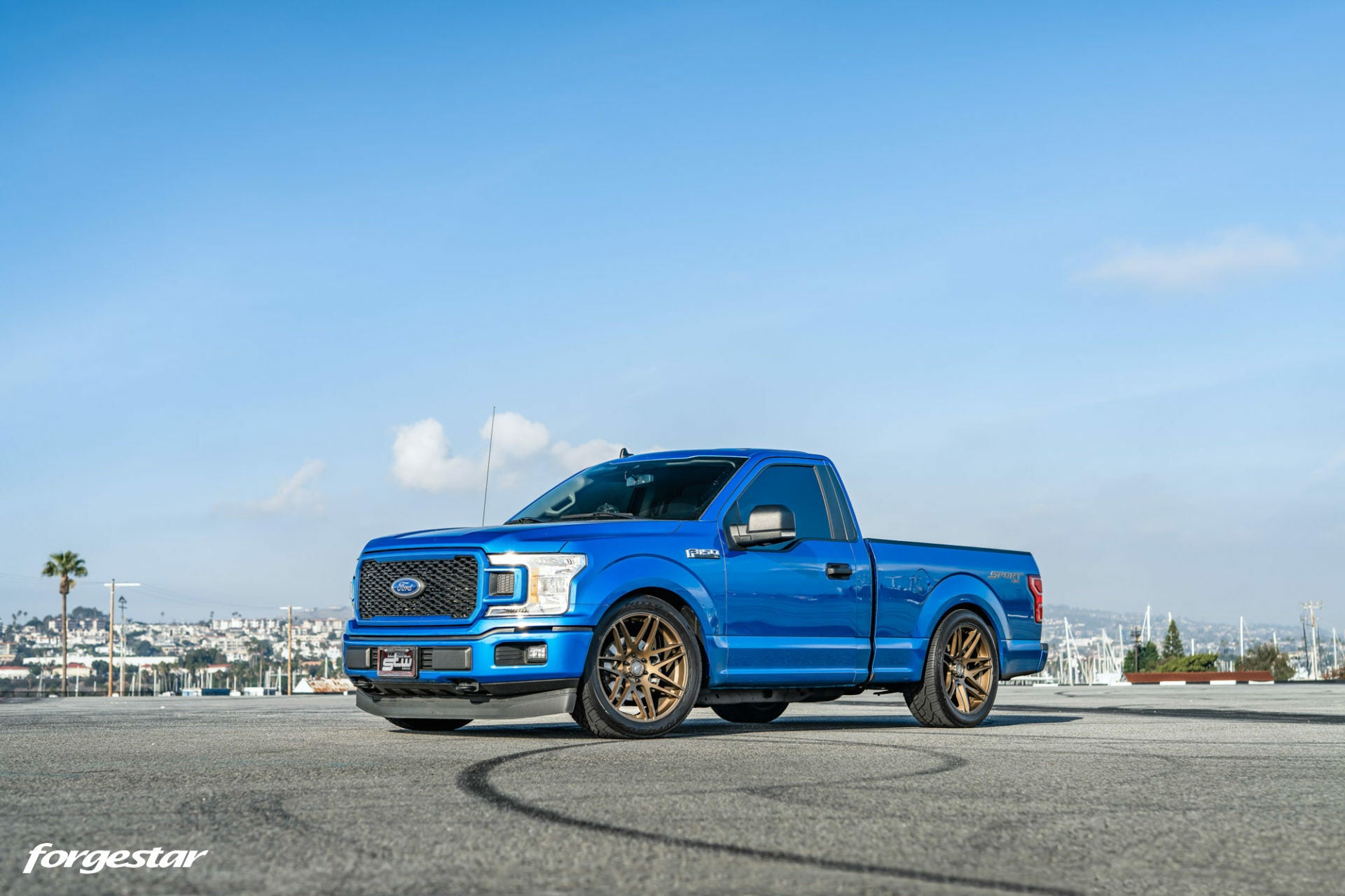 Forgestar X14 (Multiple Colors) - 15-23 F150 - 22"