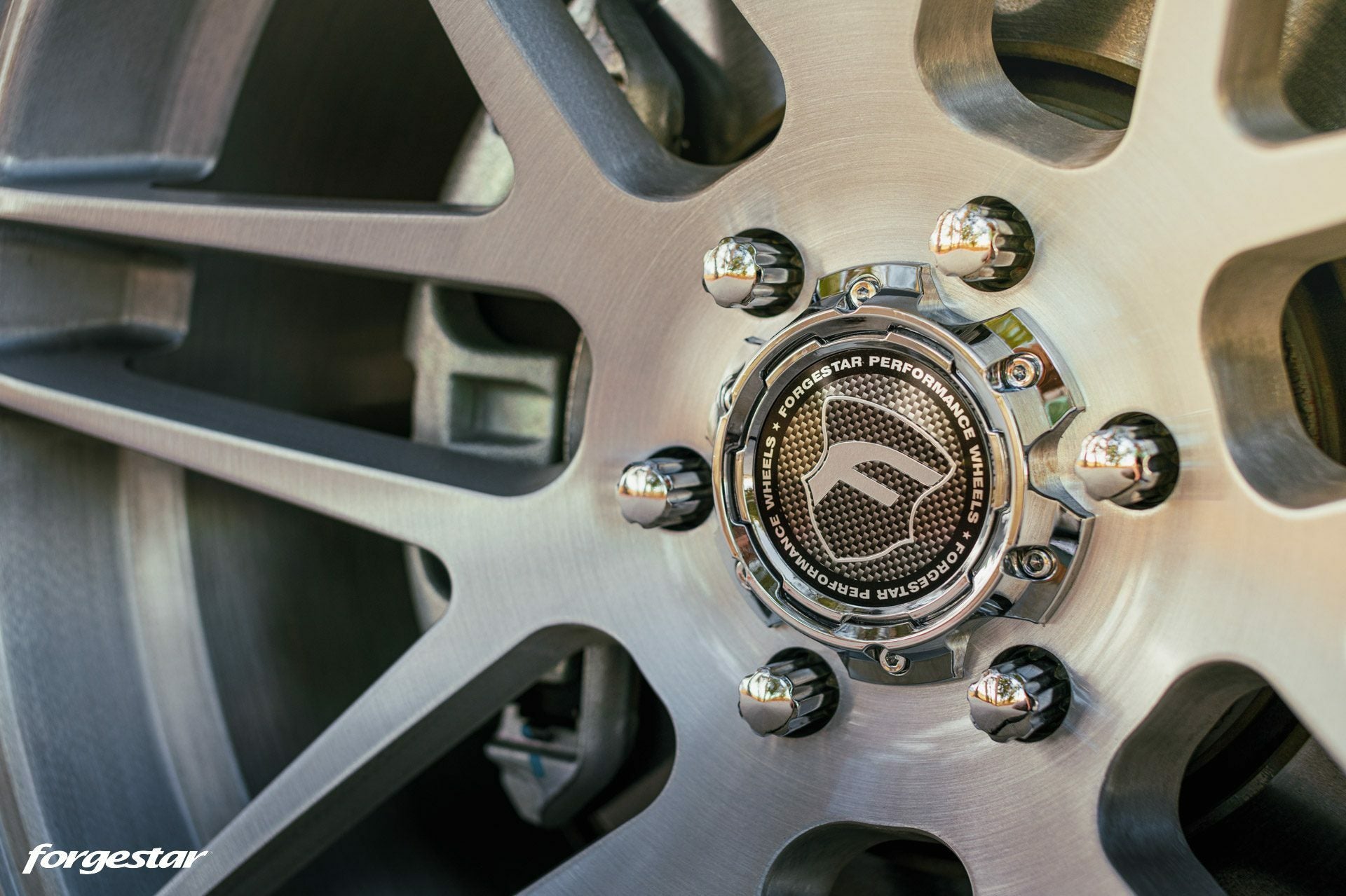 Forgestar X14 (Multiple Colors) - 15-23 F150 - 22"