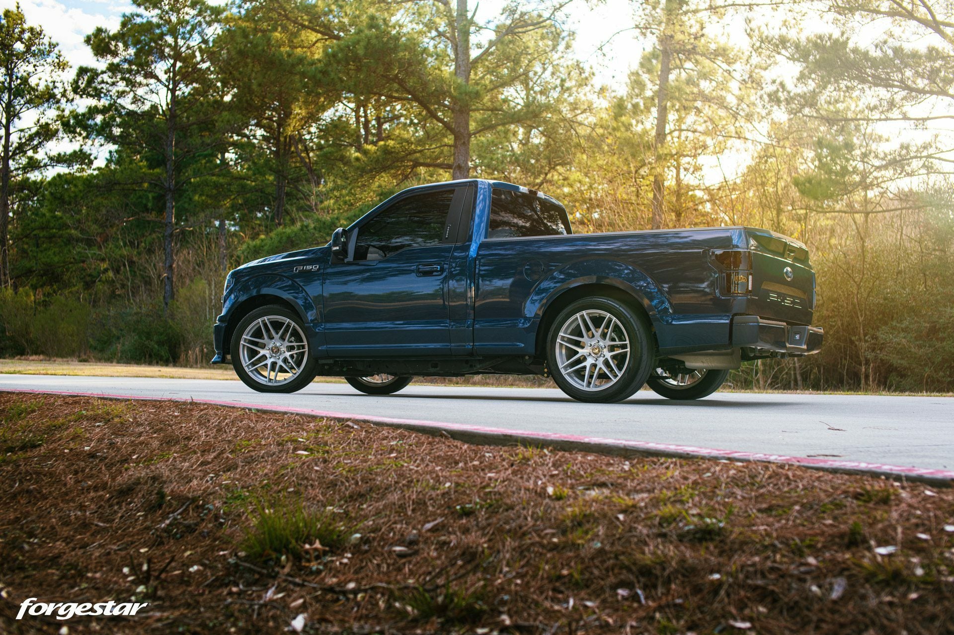 Forgestar X14 (Multiple Colors) - 15-23 F150 - 22"