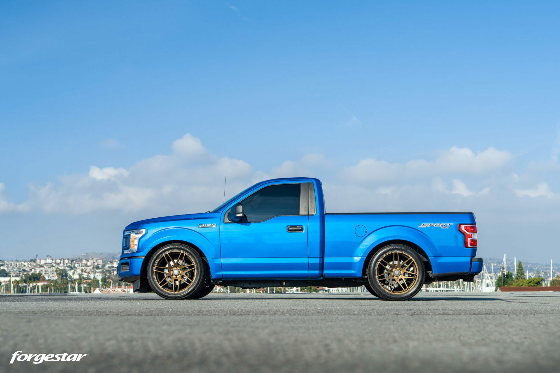 Forgestar X14 (Multiple Colors) - 15-23 F150 - 22"