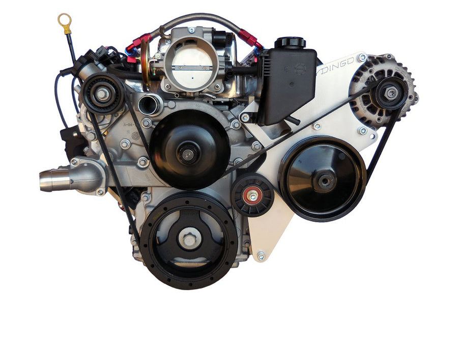 Dirty Dingo Type2 Power Steering / Alternator Bracket - All LS