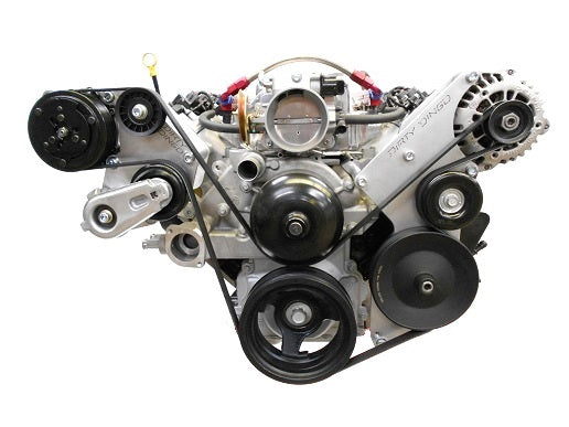 Dirty Dingo High Mount For Sanden Compressor - All LS